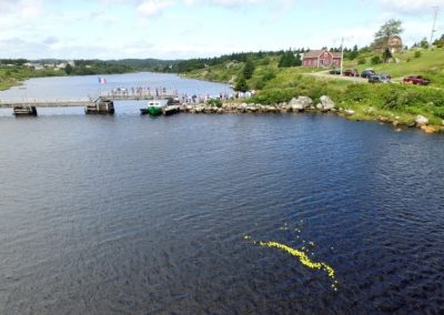 Tor Bay Acadien Society - 2016 Festival Savalette: And they’re off! Ducks are headed to the shore